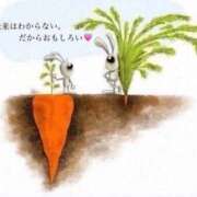 ヒメ日記 2025/09/01 23:18 投稿 はるひ ギン妻パラダイス 堺東店