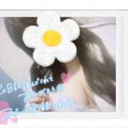 ヒメ日記 2025/09/19 16:22 投稿 はるひ ギン妻パラダイス 堺東店