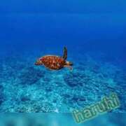 ヒメ日記 2025/10/06 20:01 投稿 はるひ ギン妻パラダイス 堺東店