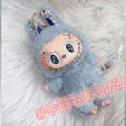 ヒメ日記 2026/03/06 23:16 投稿 はるひ ギン妻パラダイス 堺東店