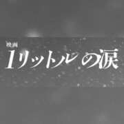 ヒメ日記 2026/03/10 00:13 投稿 はるひ ギン妻パラダイス 堺東店