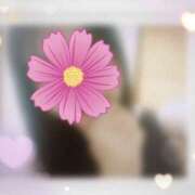 ヒメ日記 2026/03/28 00:55 投稿 はるひ ギン妻パラダイス 堺東店