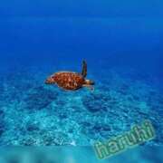 はるひ 　　　お久しぶりです🐢✨ ギン妻パラダイス 堺東店