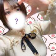 ヒメ日記 2024/12/15 13:05 投稿 ありす ちゃんこ本厚木店