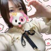 ヒメ日記 2024/12/19 14:50 投稿 ありす ちゃんこ本厚木店