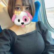 ヒメ日記 2025/01/05 13:18 投稿 ありす ちゃんこ本厚木店