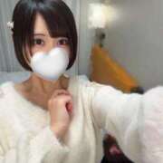 ヒメ日記 2025/01/27 13:13 投稿 ありす ちゃんこ本厚木店