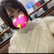 ヒメ日記 2025/04/05 17:21 投稿 ありす ちゃんこ本厚木店