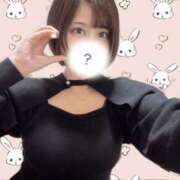 ヒメ日記 2025/04/12 13:17 投稿 ありす ちゃんこ本厚木店