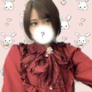 ヒメ日記 2025/04/14 12:54 投稿 ありす ちゃんこ本厚木店