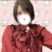 ヒメ日記 2025/04/27 12:09 投稿 ありす ちゃんこ本厚木店