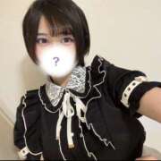 ヒメ日記 2025/09/23 13:42 投稿 ありす ちゃんこ本厚木店