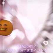 ヒメ日記 2025/04/15 19:13 投稿 ひめの SOPHIA（ソフィア）