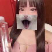 ヒメ日記 2025/06/03 19:53 投稿 ひめの SOPHIA（ソフィア）