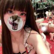 ヒメ日記 2025/12/23 10:03 投稿 ひめの SOPHIA（ソフィア）