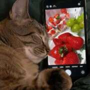 ヒメ日記 2026/01/27 19:53 投稿 ひめの SOPHIA（ソフィア）