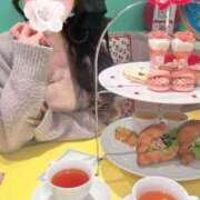 ヒメ日記 2026/03/12 16:33 投稿 ひめの SOPHIA（ソフィア）