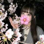 ヒメ日記 2026/04/06 16:53 投稿 ひめの SOPHIA（ソフィア）