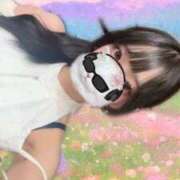 ヒメ日記 2026/06/13 17:50 投稿 ひめの SOPHIA（ソフィア）