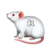 ヒメ日記 2025/06/05 17:28 投稿 ねいろ 熟女の風俗最終章 高崎店