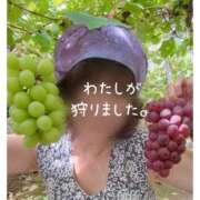 ヒメ日記 2026/10/01 14:58 投稿 ねいろ 熟女の風俗最終章 高崎店