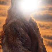 ヒメ日記 2025/11/23 15:32 投稿 あい◆妖艶なる素人美魔女 即イキ淫乱倶楽部