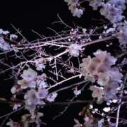 ヒメ日記 2025/04/07 14:39 投稿 真中まなみ セレブショップ新宿（東京ハレ系）