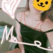 ヒメ日記 2025/04/16 19:00 投稿 真中まなみ セレブショップ新宿（東京ハレ系）