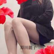 ヒメ日記 2024/12/14 09:28 投稿 原田麗子 五十路マダム姫路店