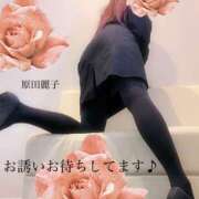 ヒメ日記 2025/01/15 21:14 投稿 原田麗子 五十路マダム姫路店