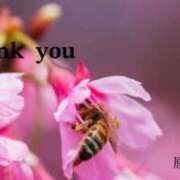 ヒメ日記 2025/04/11 00:22 投稿 原田麗子 五十路マダム姫路店