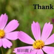 ヒメ日記 2025/04/11 00:44 投稿 原田麗子 五十路マダム姫路店