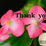 ヒメ日記 2025/04/11 15:00 投稿 原田麗子 五十路マダム姫路店