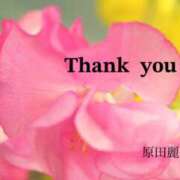 ヒメ日記 2025/04/11 15:40 投稿 原田麗子 五十路マダム姫路店