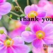 ヒメ日記 2025/04/11 15:58 投稿 原田麗子 五十路マダム姫路店