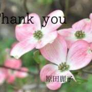 ヒメ日記 2025/04/25 21:06 投稿 原田麗子 五十路マダム姫路店