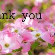 ヒメ日記 2025/04/26 09:34 投稿 原田麗子 五十路マダム姫路店