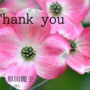 ヒメ日記 2025/04/26 10:02 投稿 原田麗子 五十路マダム姫路店