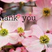 ヒメ日記 2025/04/26 18:36 投稿 原田麗子 五十路マダム姫路店