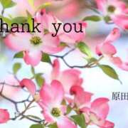 ヒメ日記 2025/04/26 18:52 投稿 原田麗子 五十路マダム姫路店