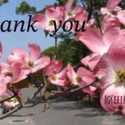 ヒメ日記 2025/04/27 17:24 投稿 原田麗子 五十路マダム姫路店