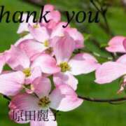 ヒメ日記 2025/04/28 19:50 投稿 原田麗子 五十路マダム姫路店