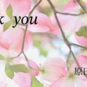 ヒメ日記 2025/04/29 01:12 投稿 原田麗子 五十路マダム姫路店