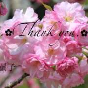 ヒメ日記 2025/04/29 01:16 投稿 原田麗子 五十路マダム姫路店