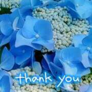 ヒメ日記 2025/06/15 11:46 投稿 原田麗子 五十路マダム姫路店