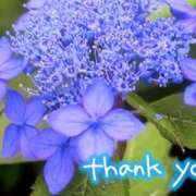 ヒメ日記 2025/06/15 12:00 投稿 原田麗子 五十路マダム姫路店