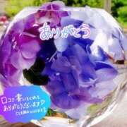 ヒメ日記 2025/06/18 15:54 投稿 原田麗子 五十路マダム姫路店