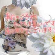 ヒメ日記 2025/08/14 09:44 投稿 原田麗子 五十路マダム姫路店