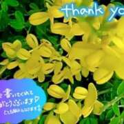 ヒメ日記 2025/08/15 08:06 投稿 原田麗子 五十路マダム姫路店