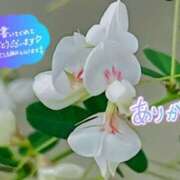 ヒメ日記 2025/08/15 18:44 投稿 原田麗子 五十路マダム姫路店